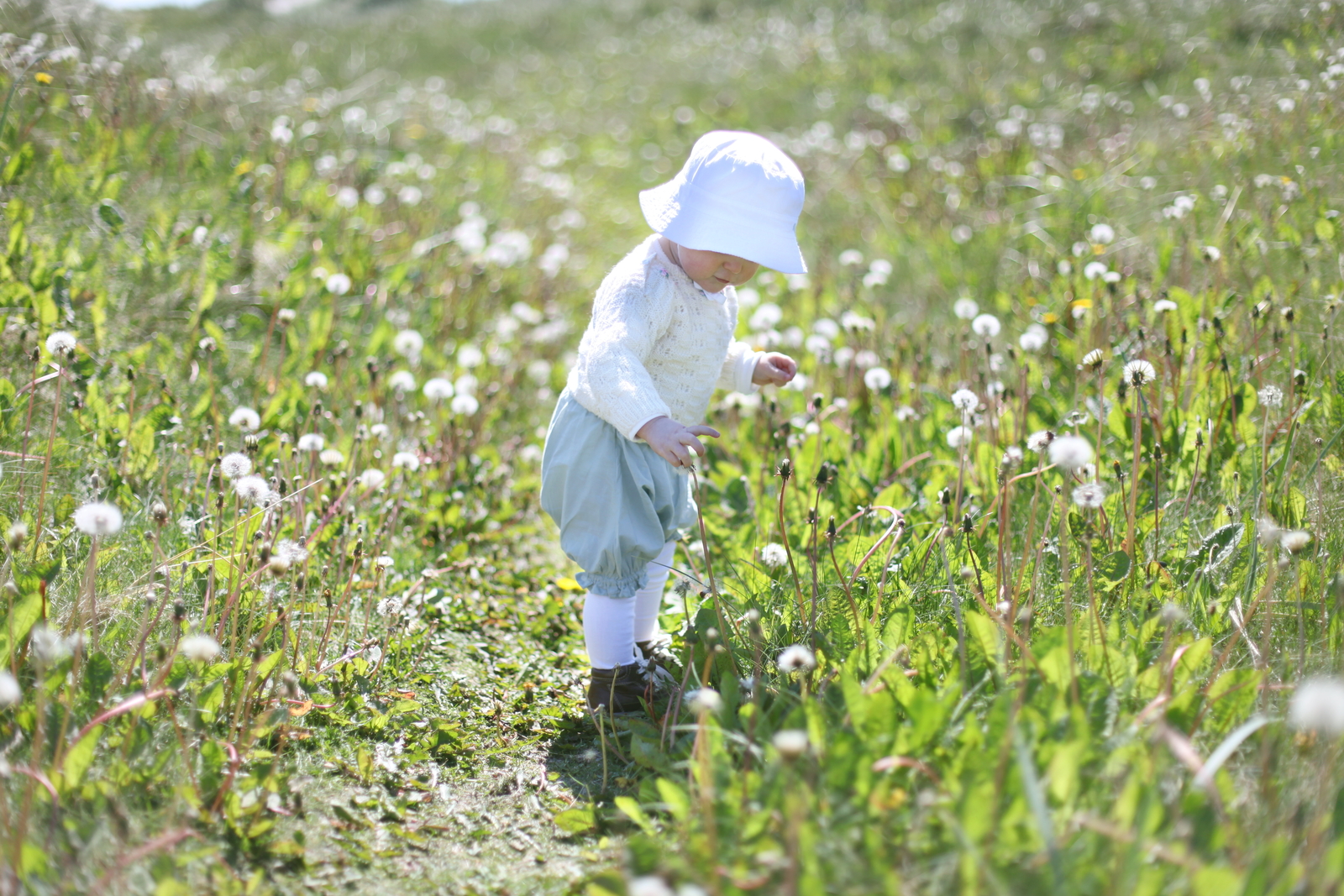 Tiril Hauan Photography: sitrende.net / tirilhauan.net 